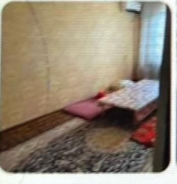 Үй сатылады! Түркістан