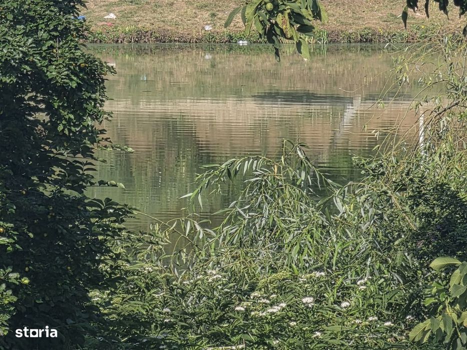 Branesti/Pasarea/Piteasca casa de vanzare deschidere la lac
