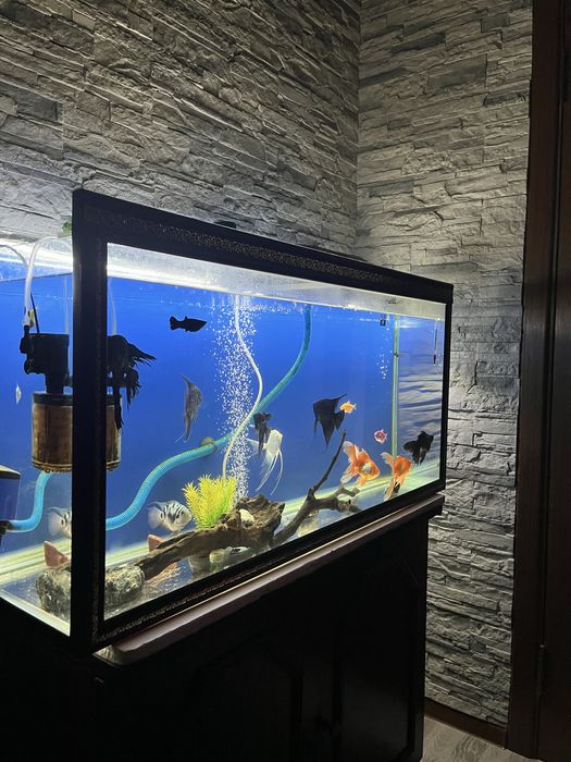 Үйге арналған аквариум сатылады