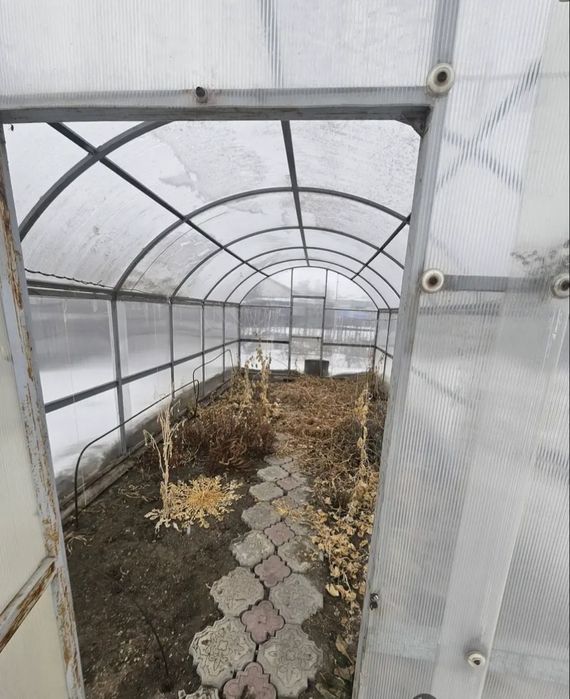 Теплица в очень хорошем состоянии.