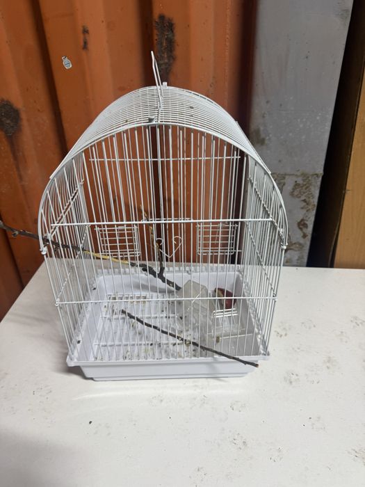 Клетка для голубей