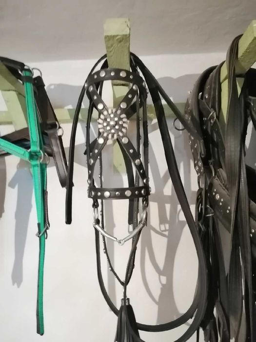 Продам уздечку выездную