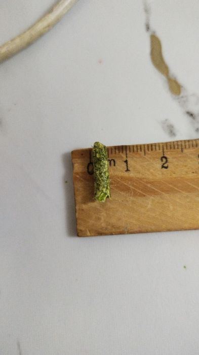 Гранулятор гранулятор