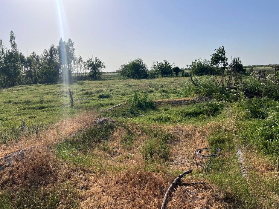 Участка 30 сотих. Кадастри бор