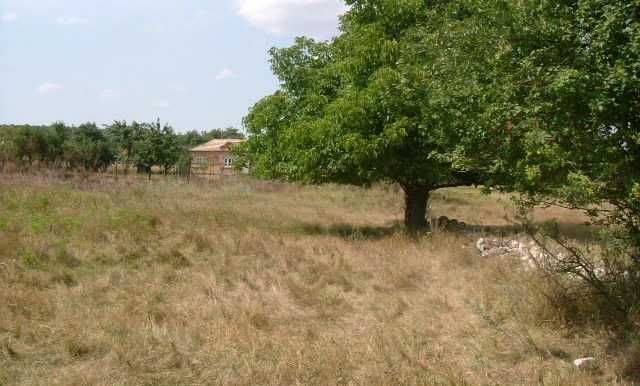 Голям парцел в Бдинци