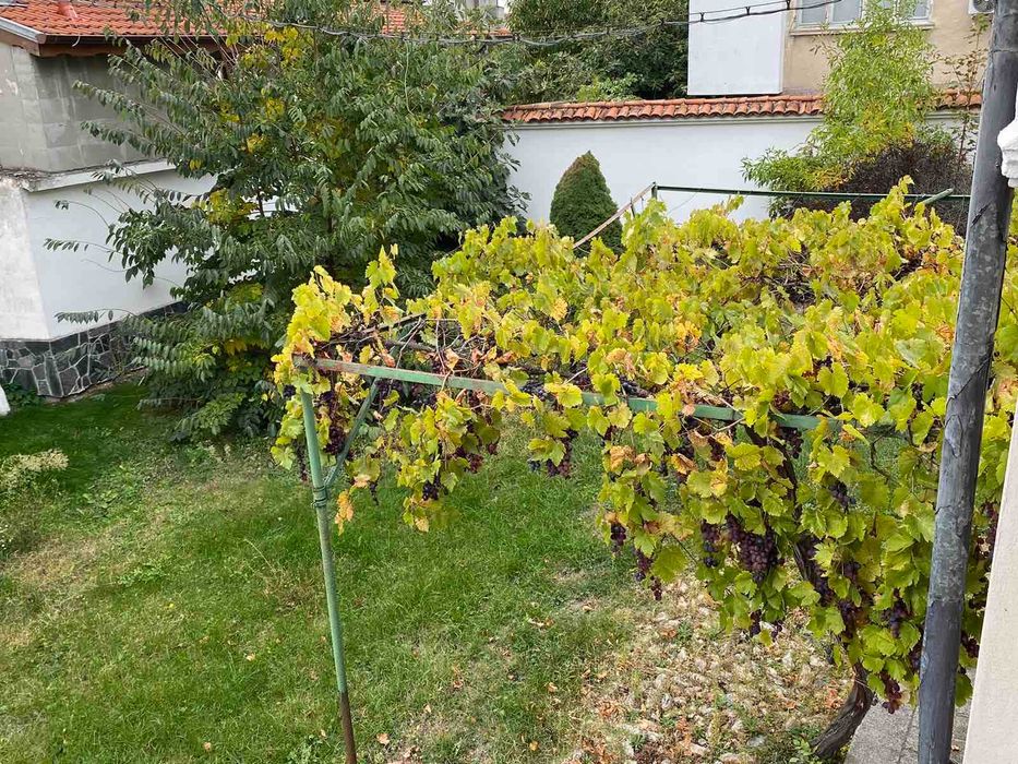 Продава се Къща в Карлово - 290 кв.м за 1276 €/кв.м - Снимка #11