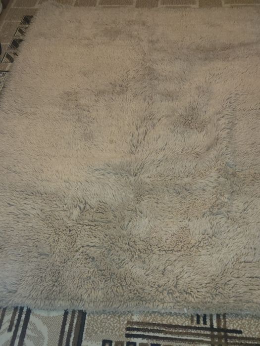 Вълнен бял китеник