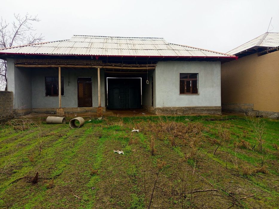 Jomboy tumani qora moyin mahhalasi