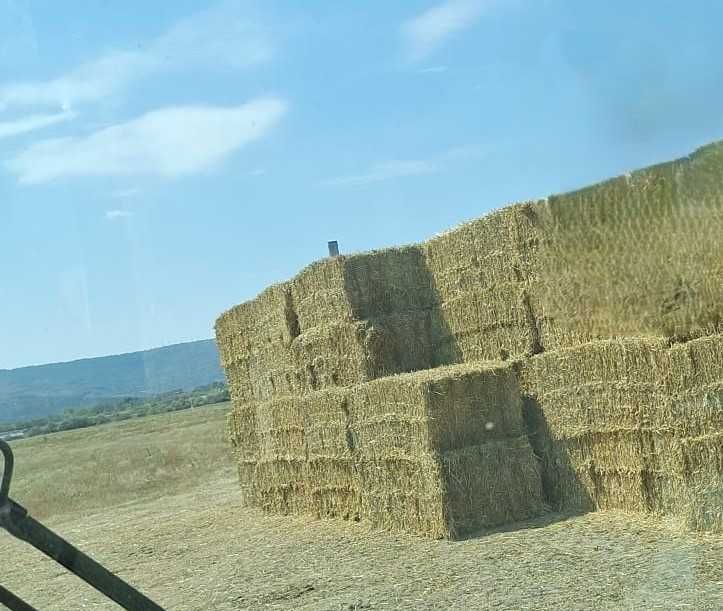 Baloti Paie Triticale Paralelipipedici