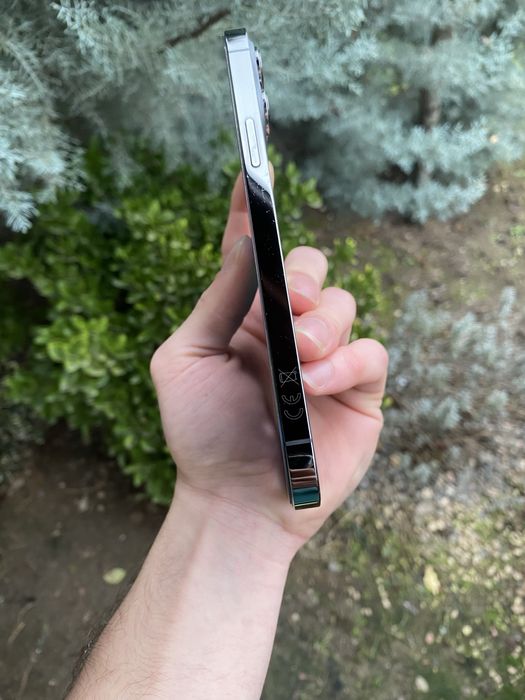 iphone 13 pro max 100% baterie