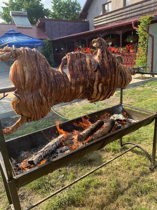 Vând/ închiriez rotisor protap electric