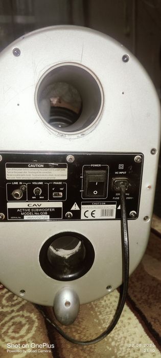 Активный Сабвуфер CAV- 100 vatt
