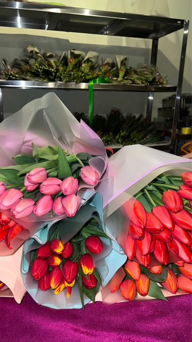 Оптом тюльпаны крупные