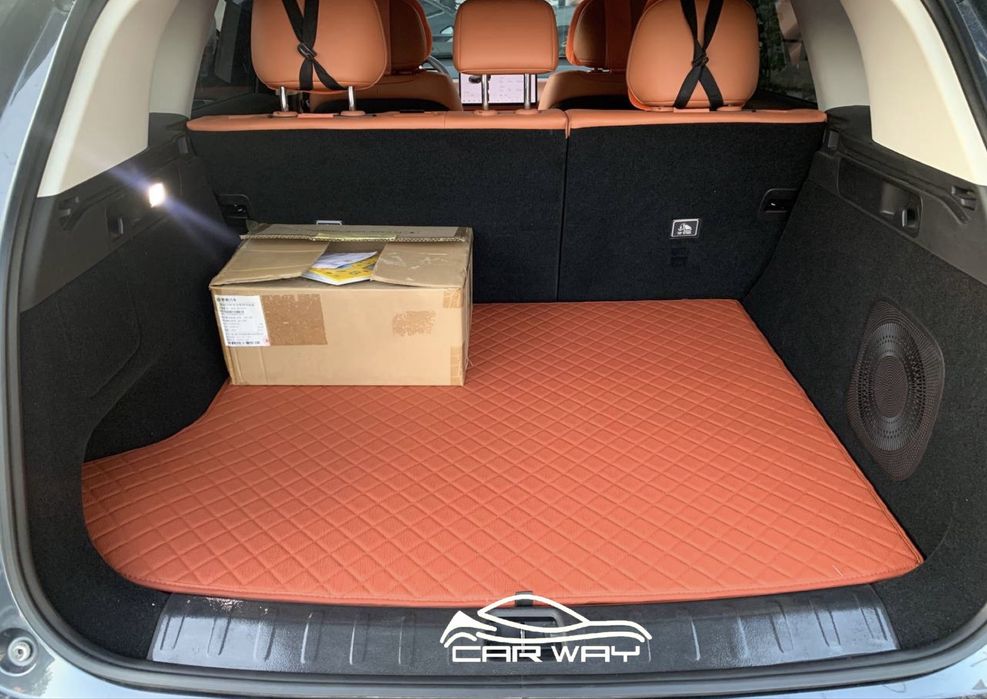 10D polik / коврики для Leapmotor C10