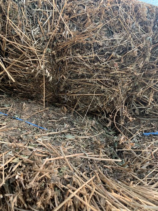 Vînd baloti de paie si lucernă