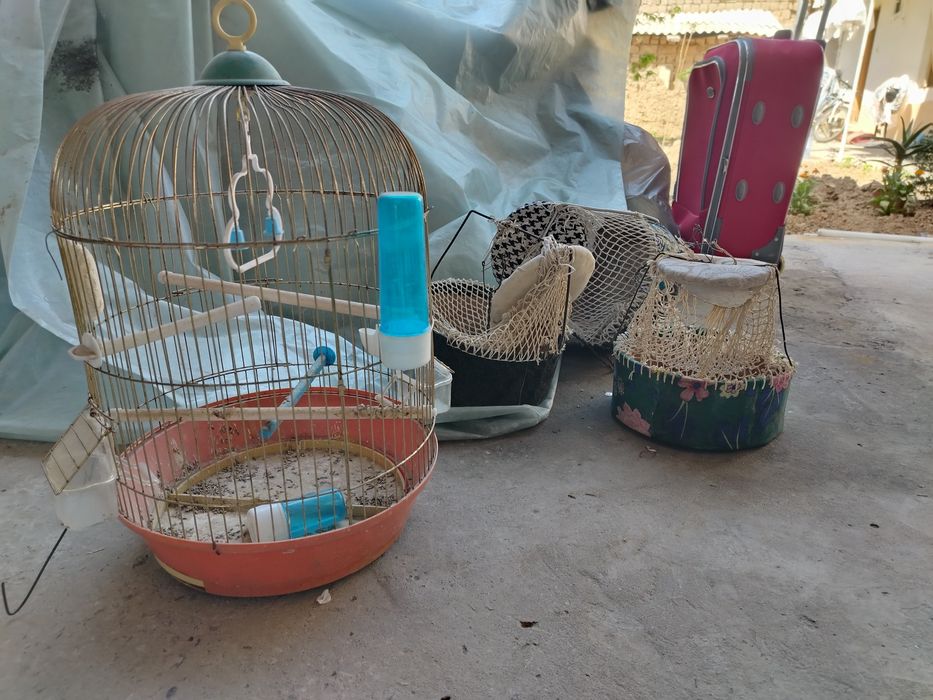 Assalomu alekom mmmmmmmm.