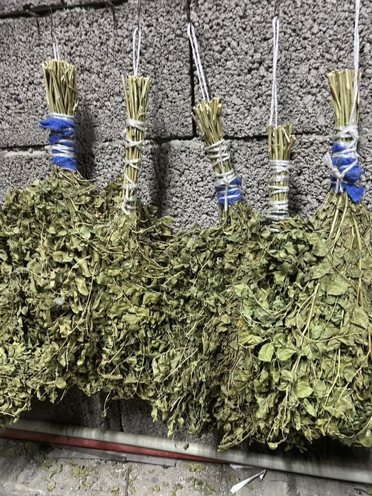 Веник для бани из солодки