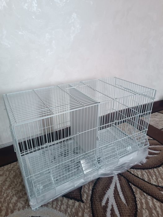 Kletka parovka sotiladi yengi!