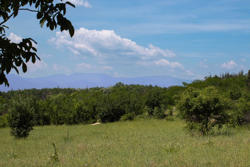 Продава се Парцел в Карлово - 20500 кв.м за 47 €/кв.м - Снимка #3