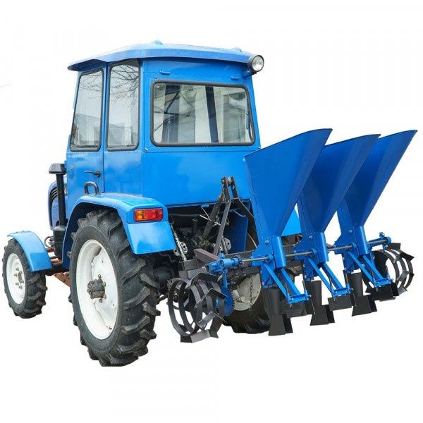 Semanatoare ceapa trei 3 și 4 randuri ceapa usturoi bulbi lalele crini