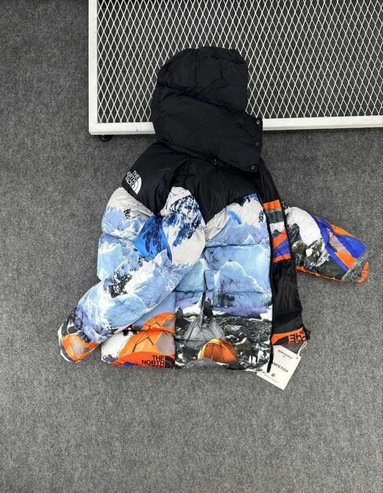 Geacă The North Face x Invincible The Expedition Dobroesti • OLX.ro