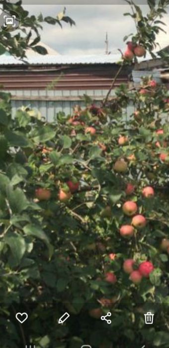 продам дом с.Байтерек