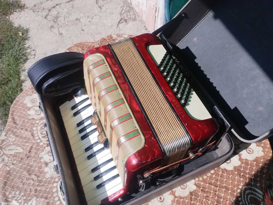 Acordeon Hohner Student 48