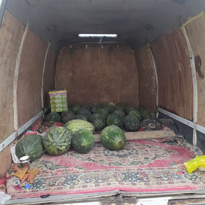 газел.     2006 йил