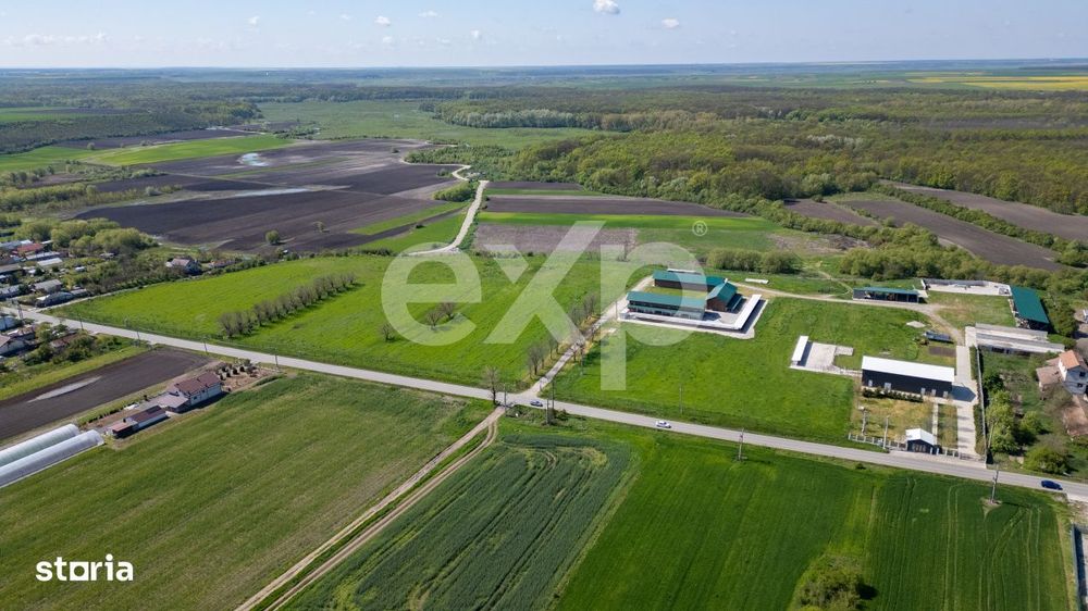 Black Angus Farm with authorized Slaughterhouse