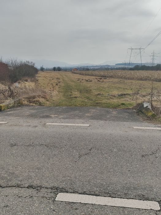 Vând teren extravilan Mohu