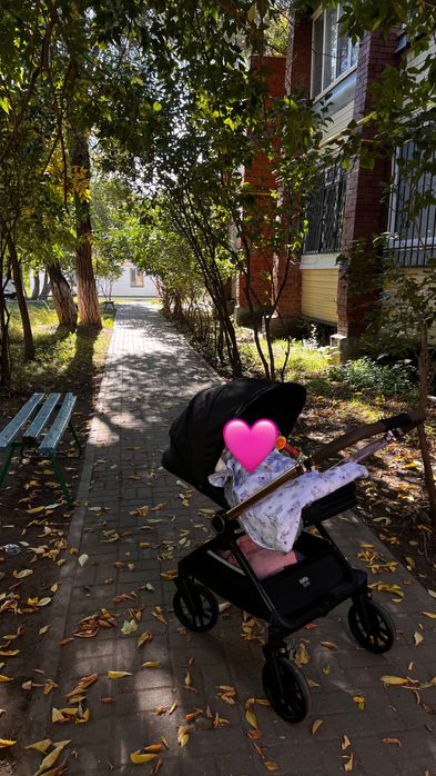 Универсальная коляска