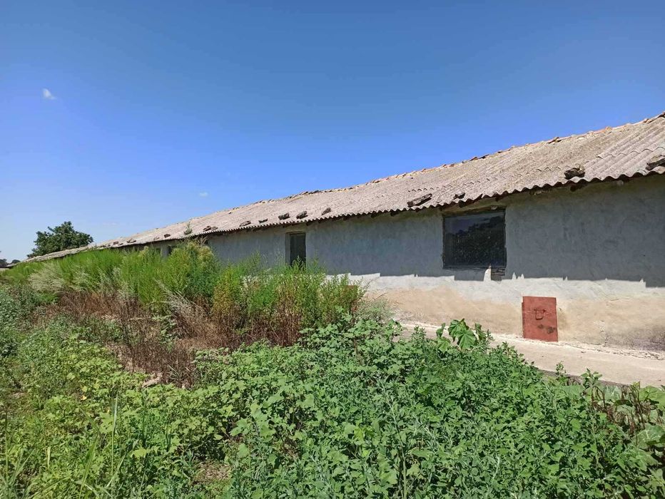 Продава се Земеделски имот в с. Къпиново, Област Добрич -  кв.м за 3296 €/дка - Снимка #12