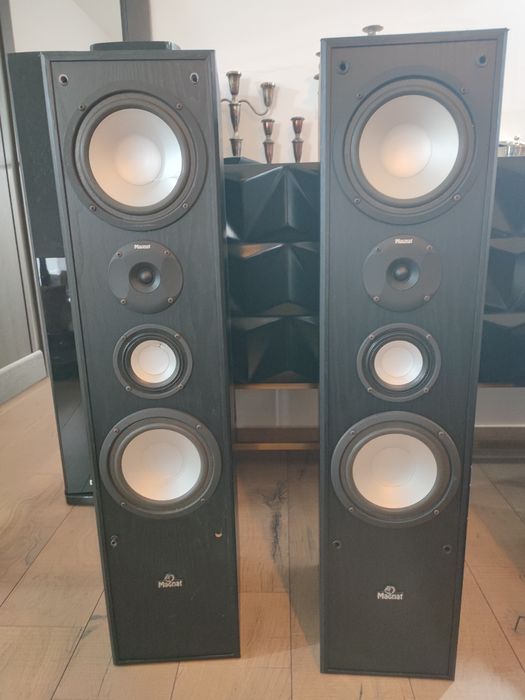 Boxe Magnat 2x340 W 3 cai impedanta 4-8 ohmi bass reflex