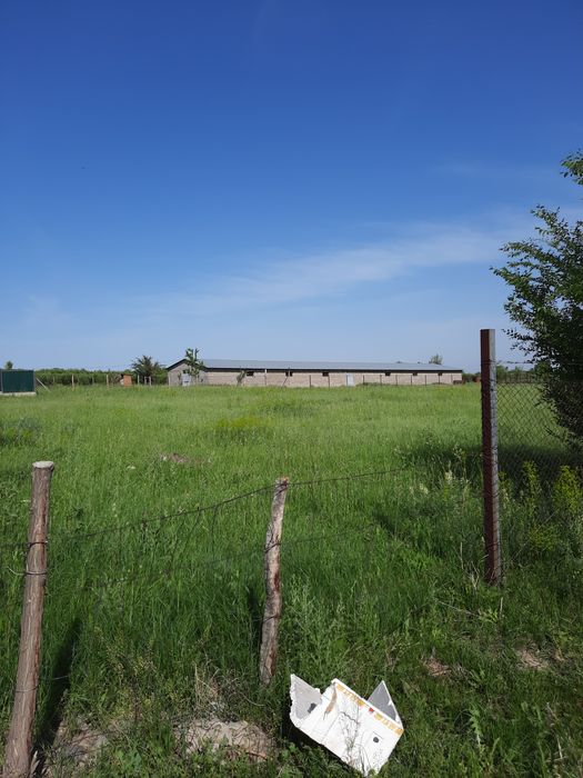 Продам ферму в Алматинской области