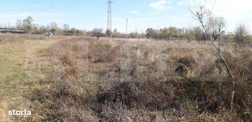 Teren 7240mp, zona Prelungirea Panduri