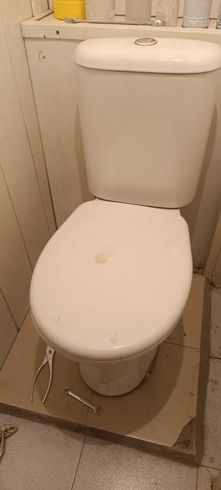 Отдам бесплатно даром