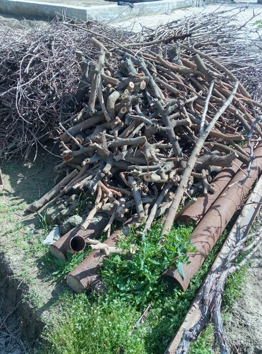 O'tin sotiladi Samarqand shahrida