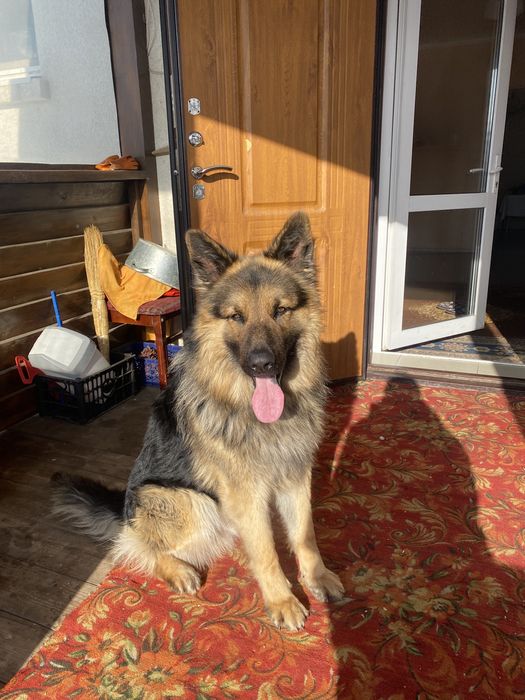 Кабель ВЕО на вязку