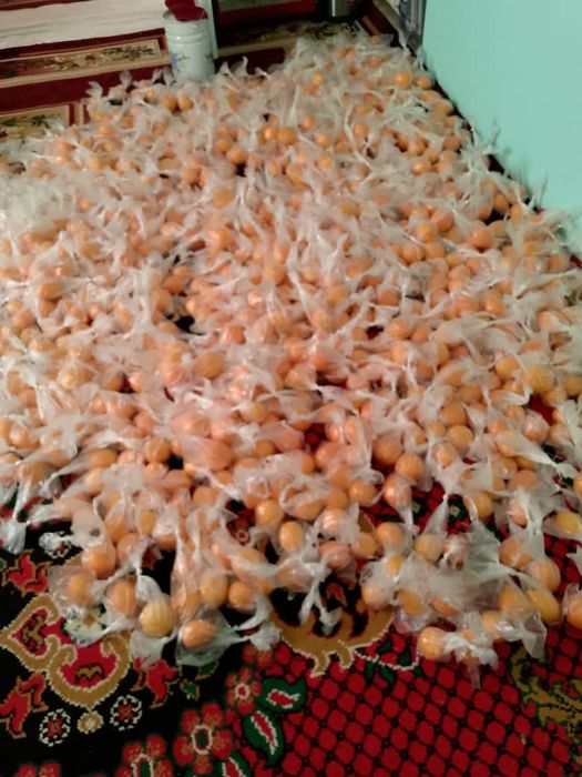 LIMON xosiliI sotiladi