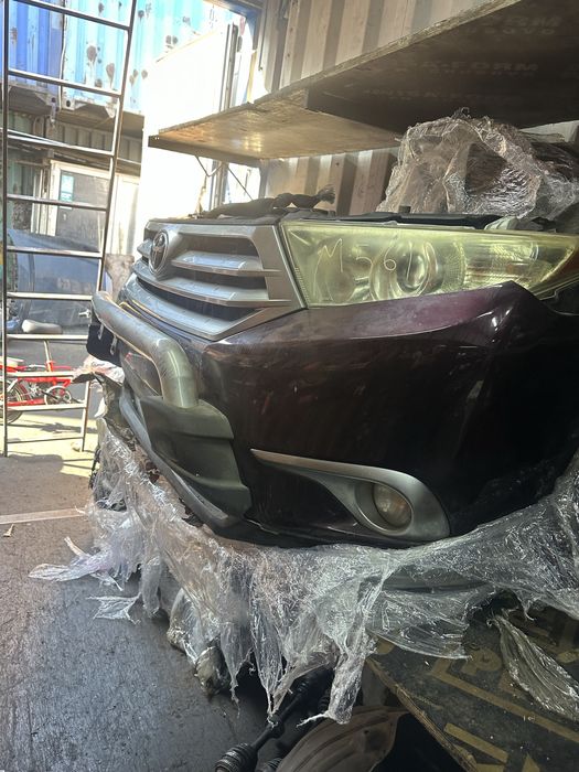 Ноускат Хайландер рейсталинг