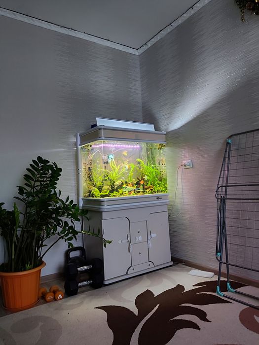 Аквариум 220 литров