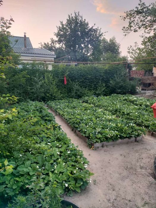 Продам шлакобитонный дом.