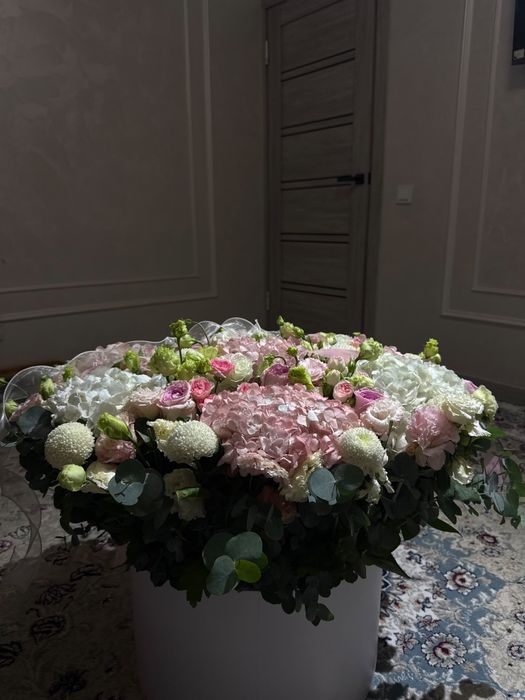 Продам цветы по низкей цене