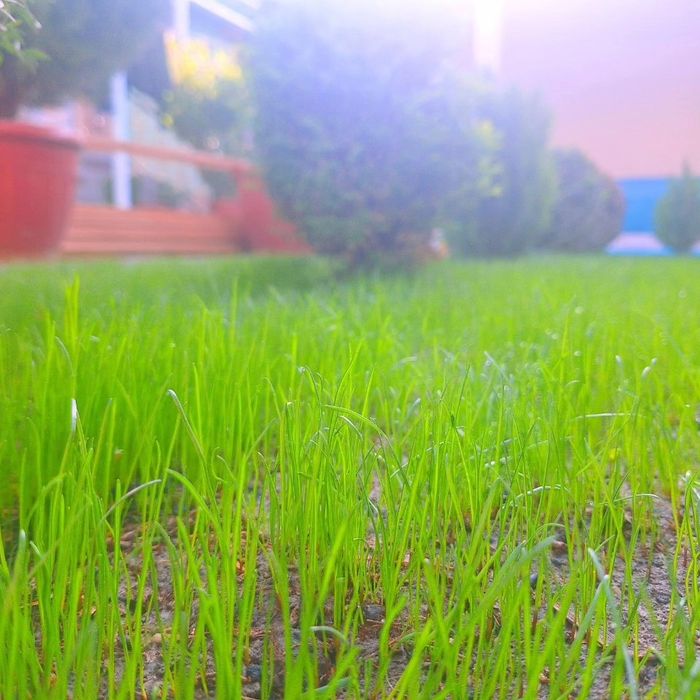 Qilgan ishga javob beradi  qilgan ishimizga karanta beriladi