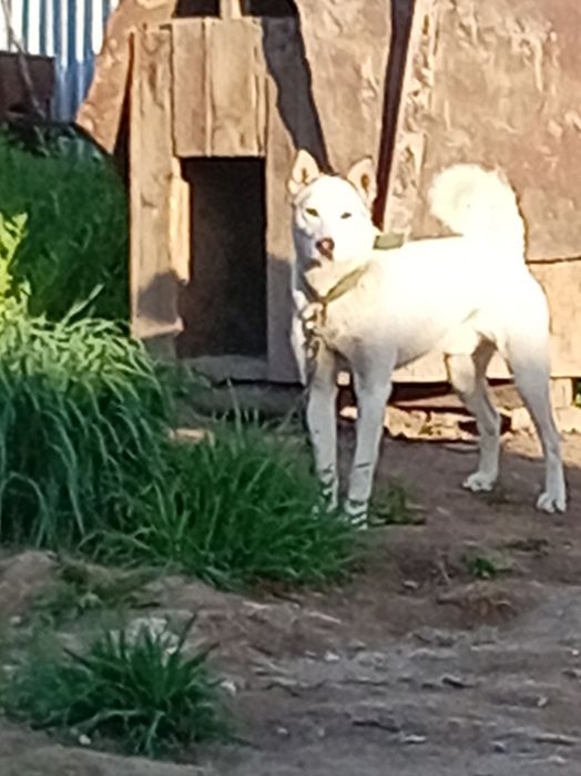 Продам Продам Продам