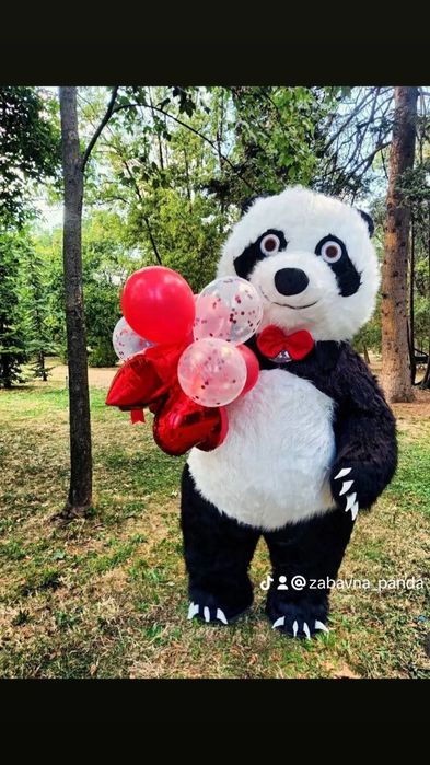 Изненада Забавна панда/мечка/стич/заек/ за всякакви поводи+Водещ