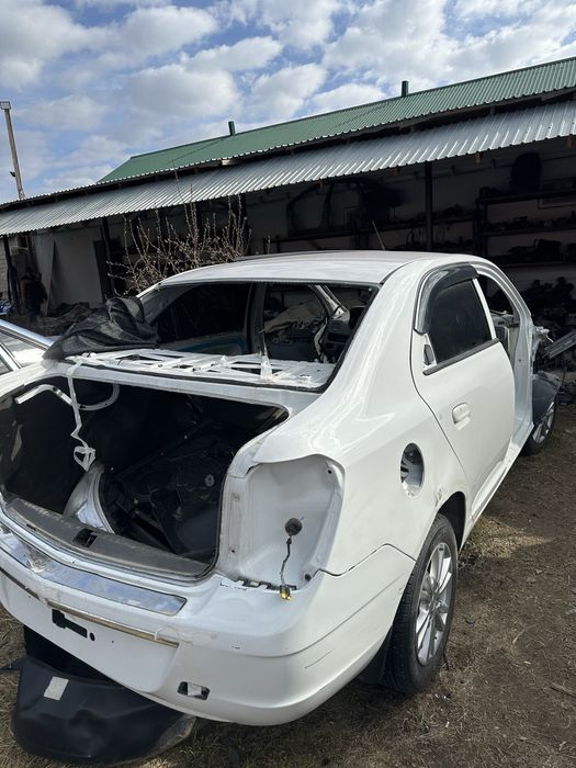 Кобал равон нексия