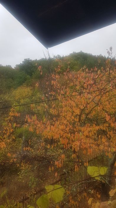 Продава къща в с.Крайни дол общ.Дупница