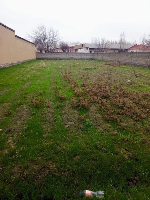 JOMBOY TUMAN  Qora moyi mahalasi