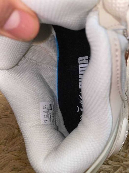 Puma lafrance noi
